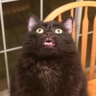 RiiFus