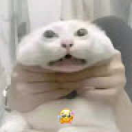ZekkST