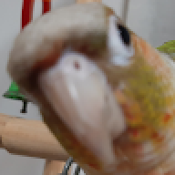 111111111112