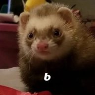 Виктор Ро