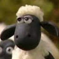 MistaShep