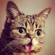 addisonmew
