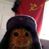 やめてください。
