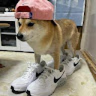 Belzebud11