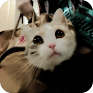AEFNO