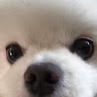 Kirill_