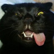 lucccccc