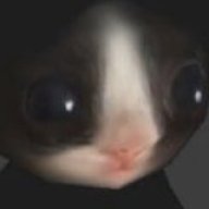 sadduck