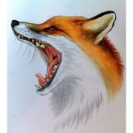 Dark_Fox