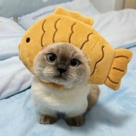 feruxon