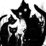 TheCat