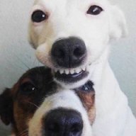 Dexpirit