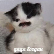 Dezertir