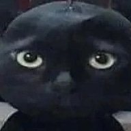 pupaund