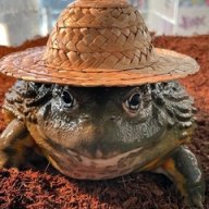 жабарин