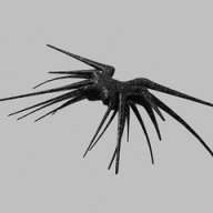 FenixOleg