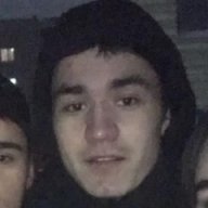 damir11