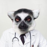 MrRai
