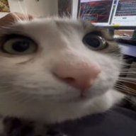 piusdfghifoydc