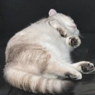 олро