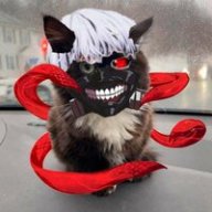 Alex_IGOGI