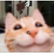 crycatnya