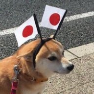 ShiBaka