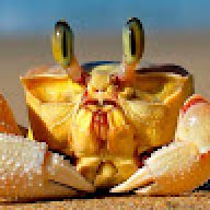 Vorlix