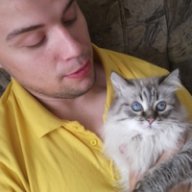 Niffty