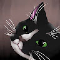 CatLoveOne