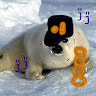 Seal