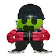 wetyr22