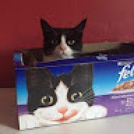 fff