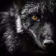 FoxDY