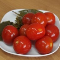 ZikViM