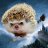Dim4eg_ru