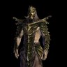 Сет Драконьего жреца / Dragon Priests Armor